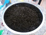 mix-of-potting-soil1